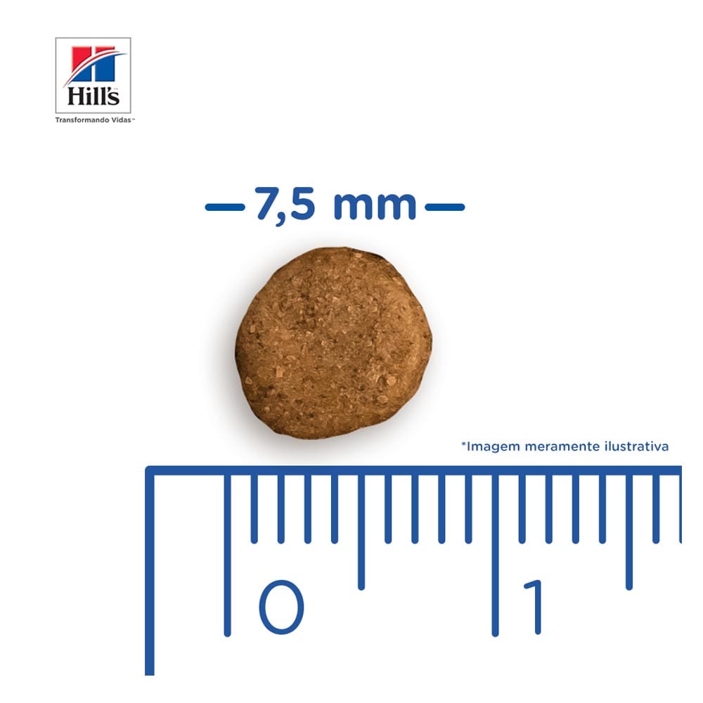 image_dc7e4092-418d-448f-a152-deb1aea00d8d