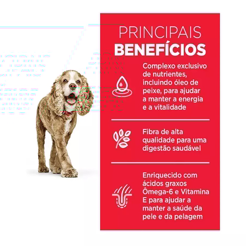 Product main image - 446f421f-8adc-403d-a22f-81e89f24a086