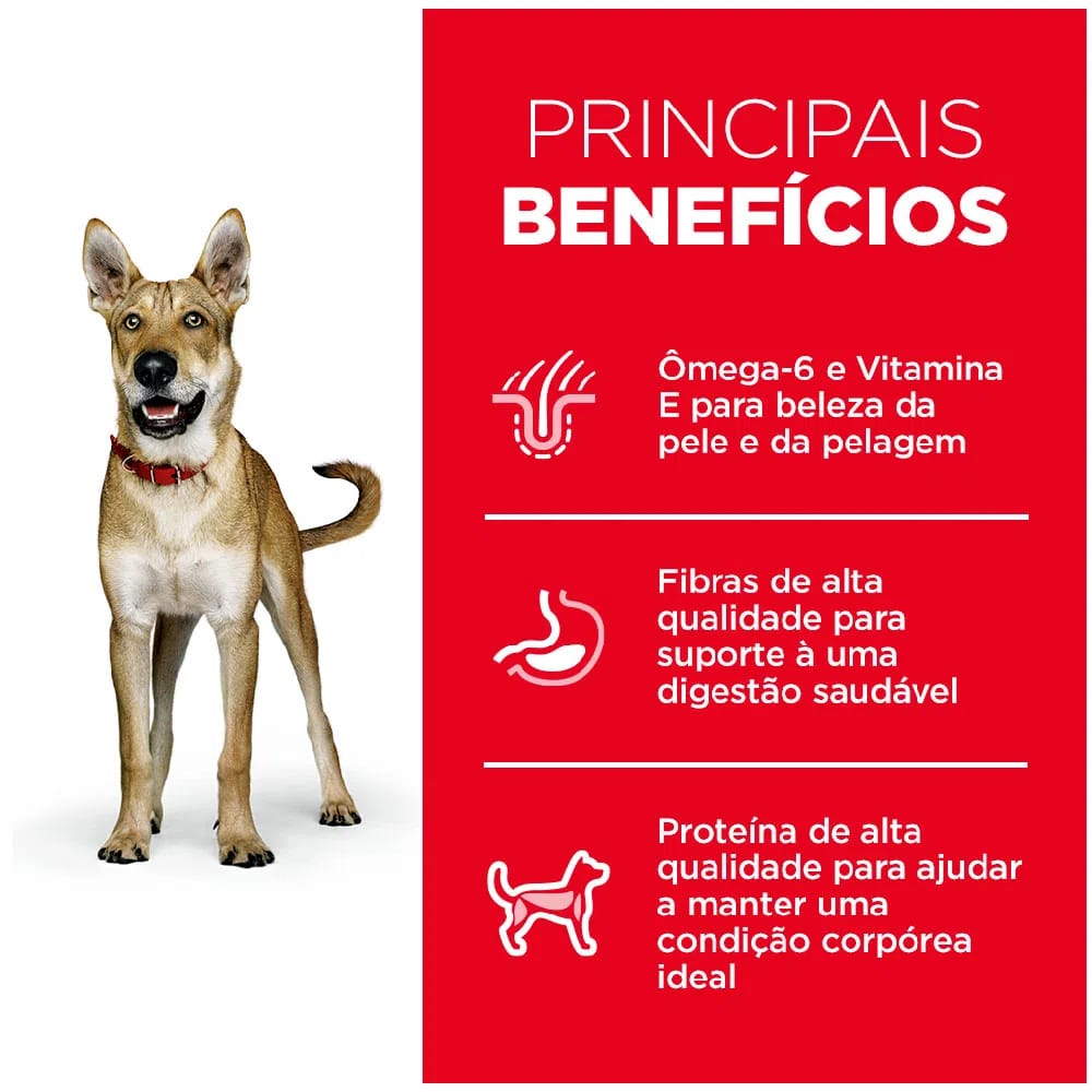 image_0041ac7c-78da-4d66-9103-7b6c9180947b