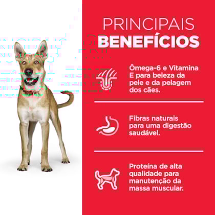 image_da3c2691-8a76-4482-9aa0-fce2d132e0db