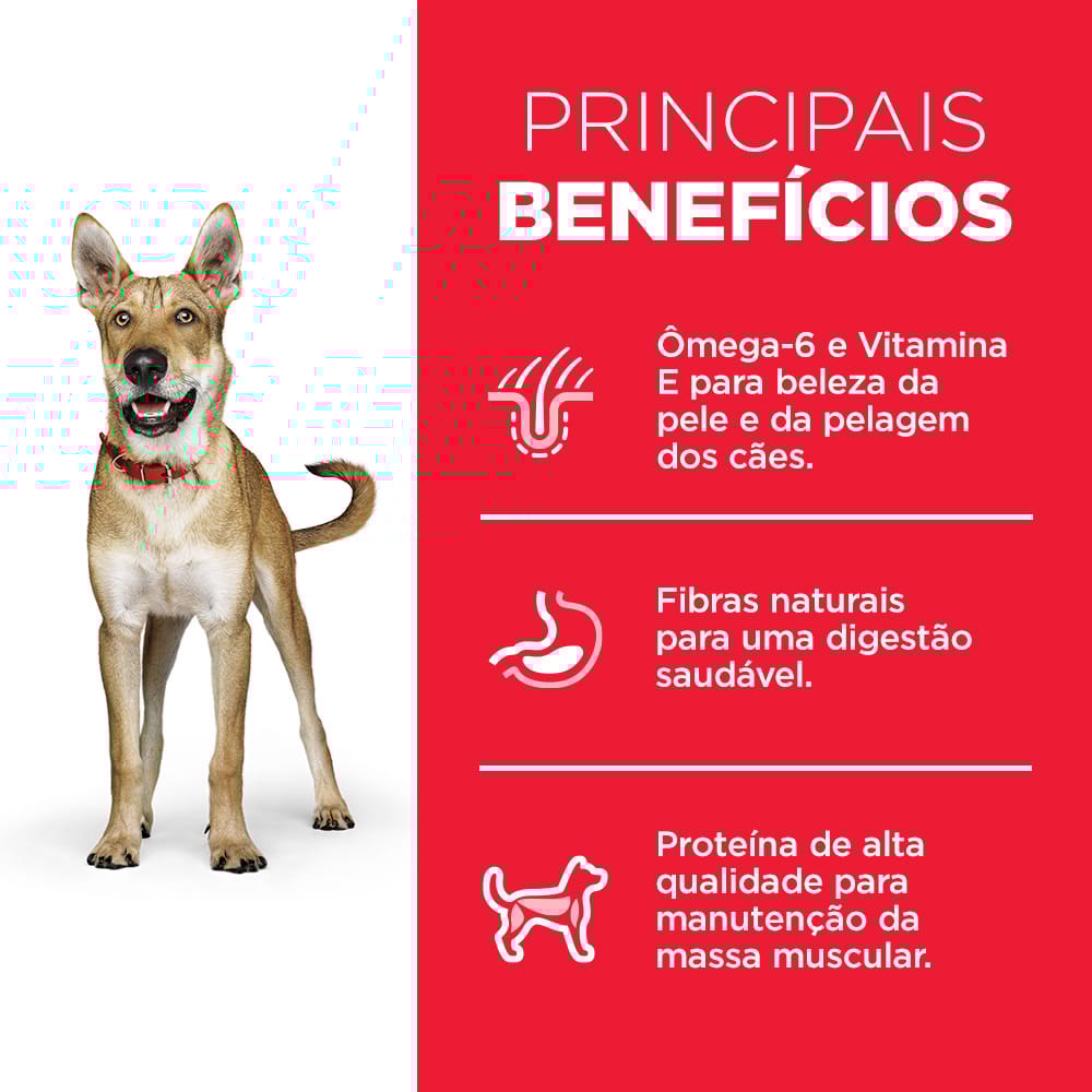 image_c4a24a18-c1ed-432a-a4d8-181ce22ca77f