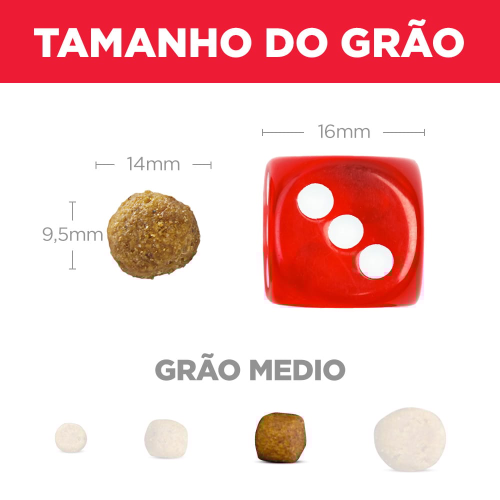 image_e778457e-11ea-4e8c-a0af-abc99a5c5af5