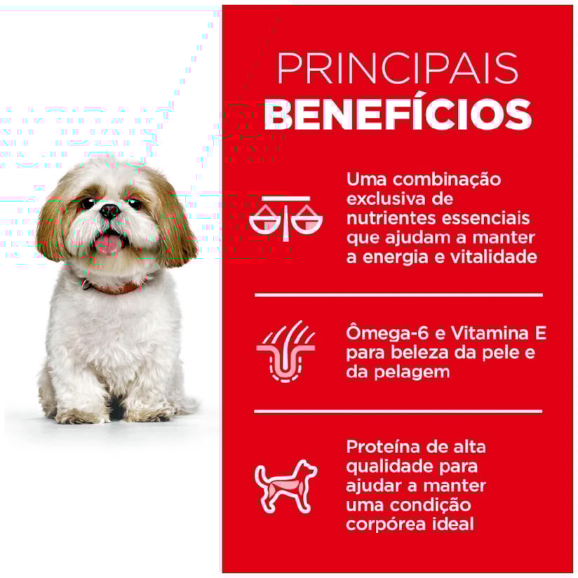 Product main image - 744b7dd7-18b7-4a37-981e-aef2a730d1b6