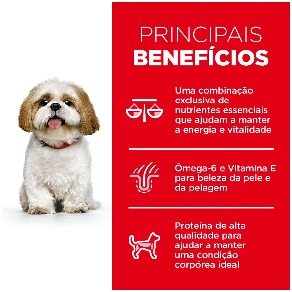 image_4ccf8487-4b7d-4dea-a12a-78c1f5285703