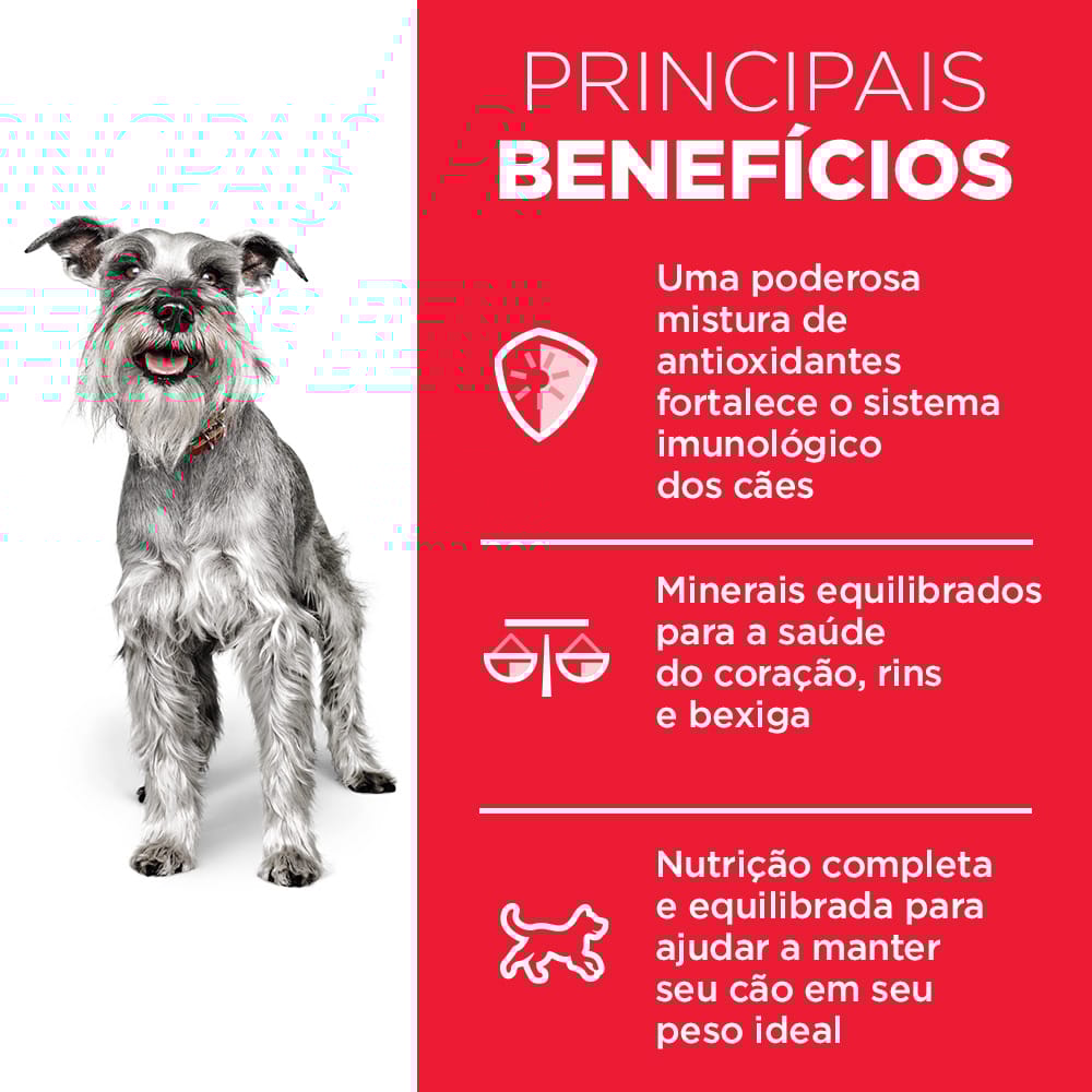 image_3942bae8-bed2-4bbe-a8ca-61fd967b9254