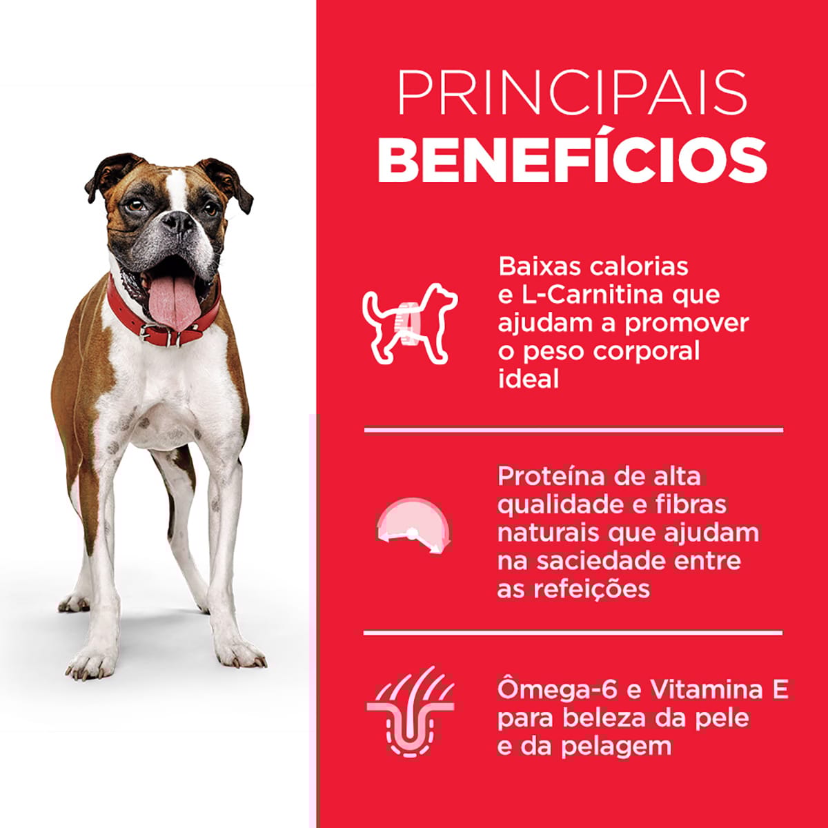 image_4c3b5d2a-f14a-4044-843e-25e5e85640eb