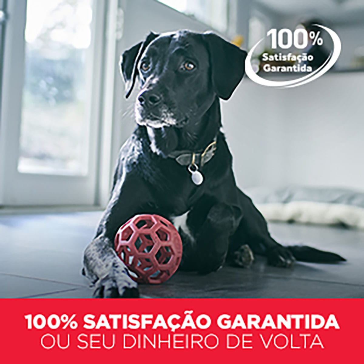 image_acbaab92-176b-434a-bec5-1c556436b55d