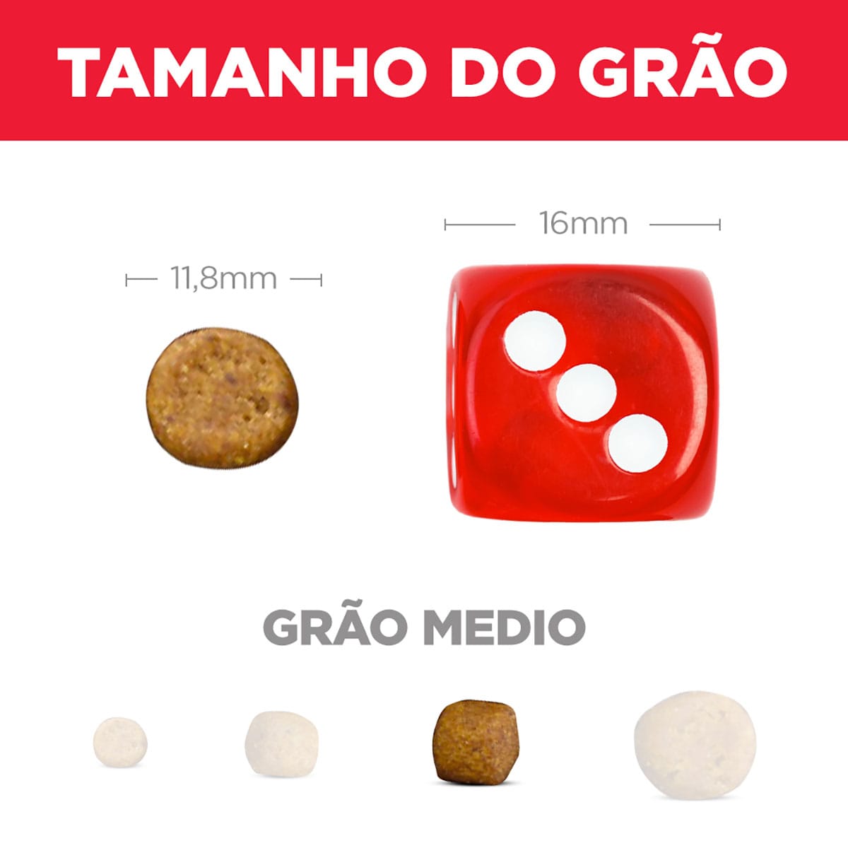 image_fdef744f-9c3e-4c6f-8fd9-947b0bb3dd6c