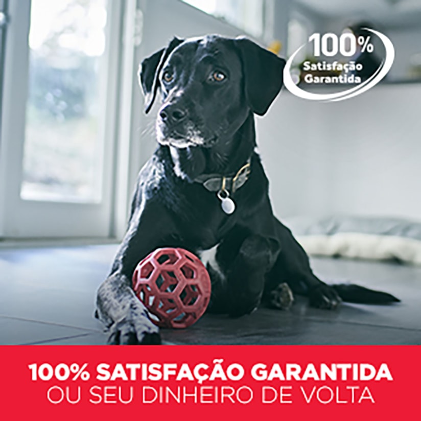 Product main image - 7f1cdf86-918a-4747-a000-8a35fb4250b2