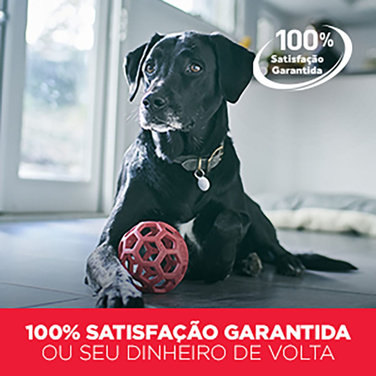 image_4d019877-da0f-4caa-ae13-e7a94d5e13a2