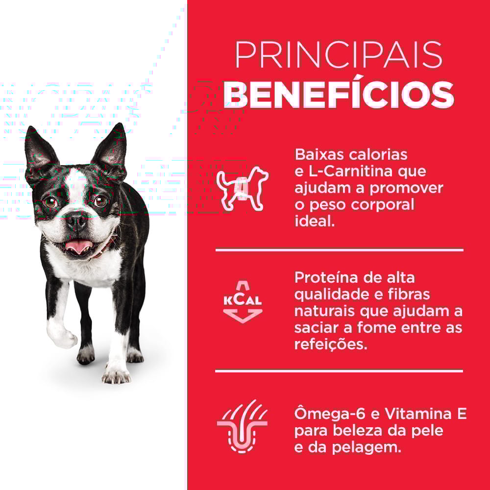 image_284bc691-3bc6-40b2-8bdb-ce8815aaba05