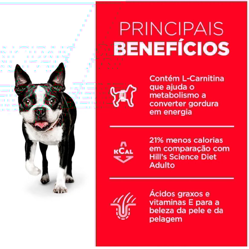 Product main image - 869884e7-b286-4538-9e37-8a6c49c78c98