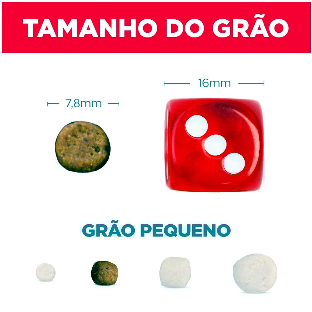 image_38b812e7-9fb0-44d3-b09c-5e43a49d904e