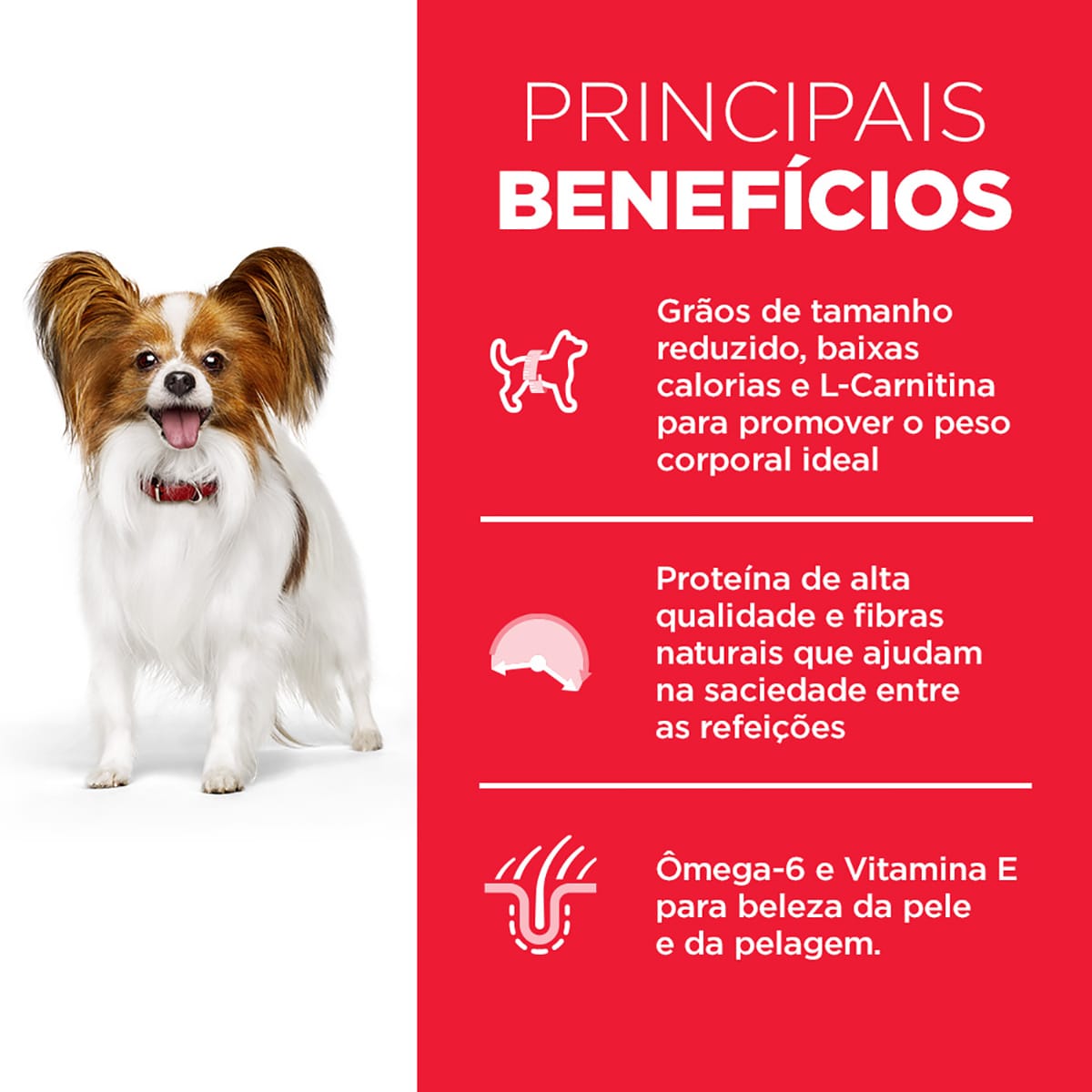 image_b44119ea-d252-42a5-ac09-bdd0f6ee1f5a