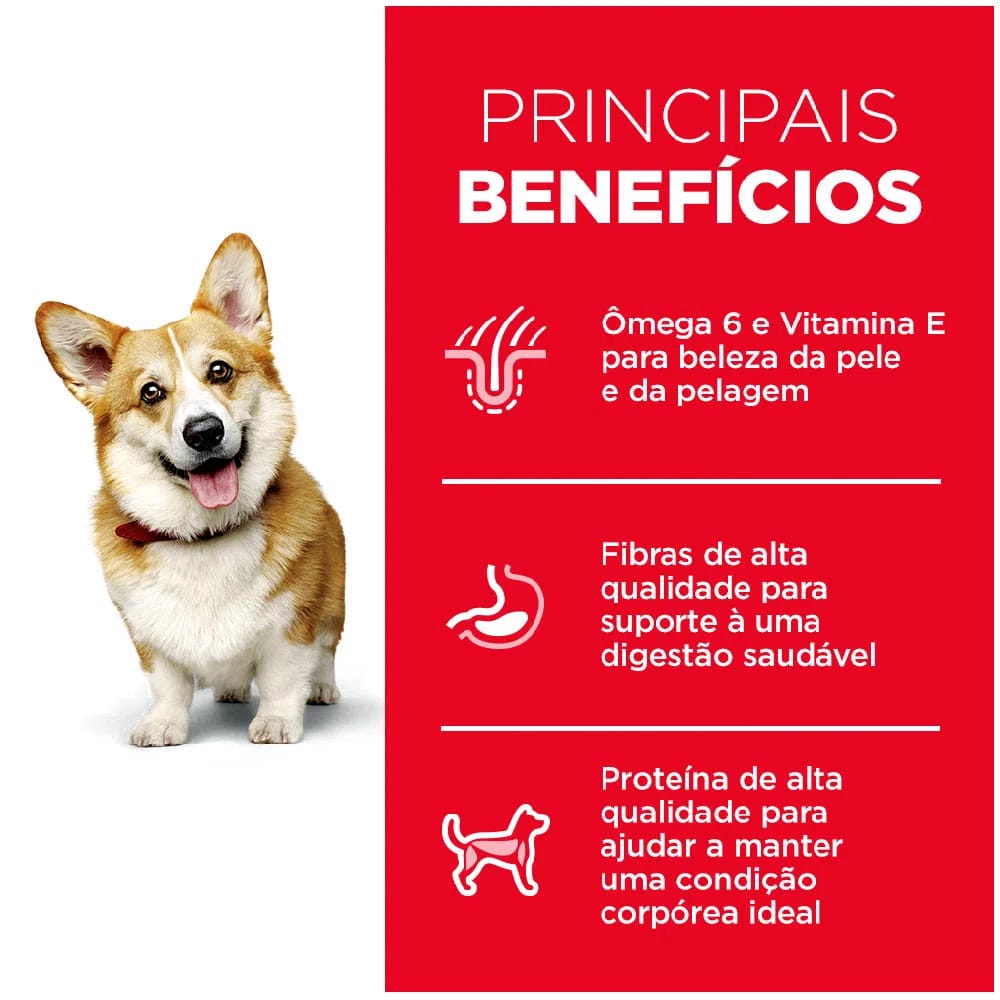 image_22a39a3d-5691-4f6e-8d02-7e07b8c70074