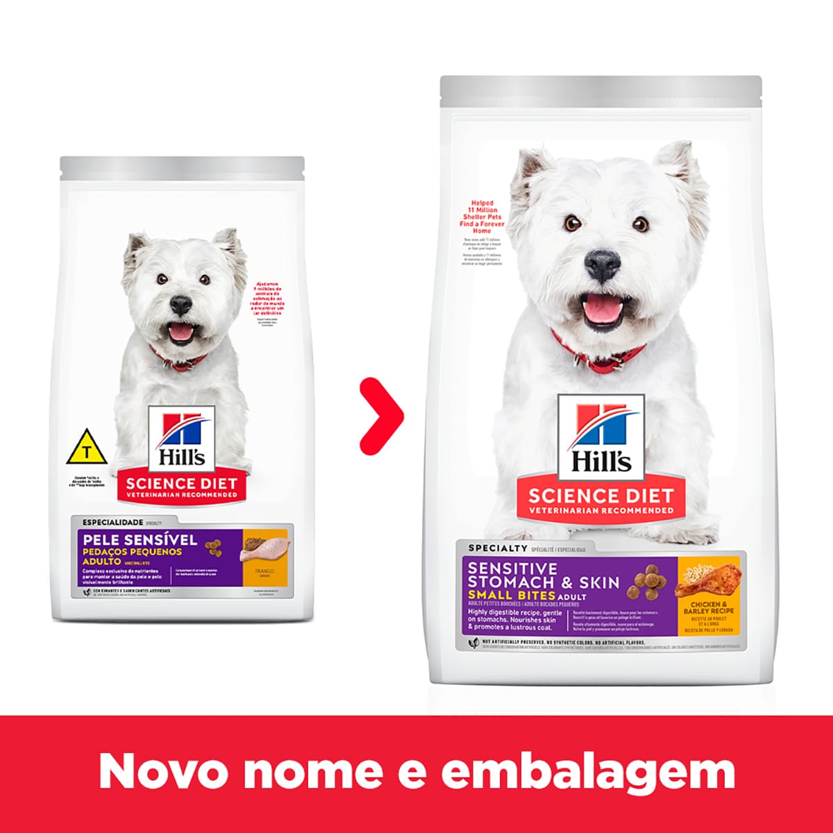 image_d9c913b7-c7e6-4bcb-ac6d-99486a6310b8