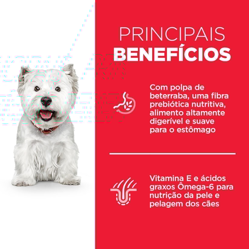 Product main image - 3df581d7-d1a7-4ff9-a7a5-aa0fb1010d26