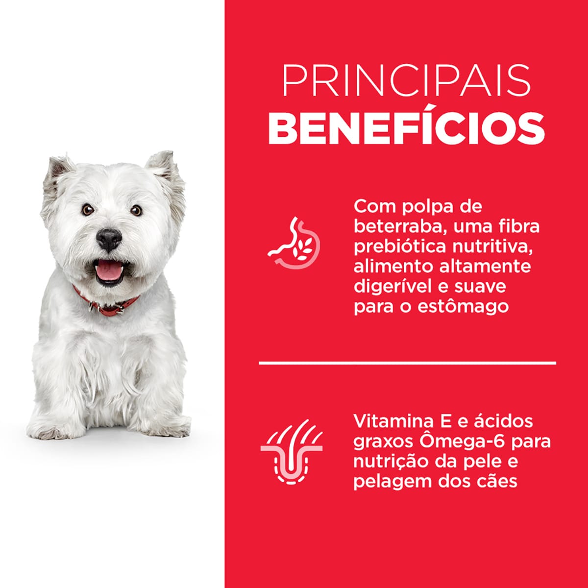 image_d7396802-f3d8-4bff-b02a-d3700afc2498