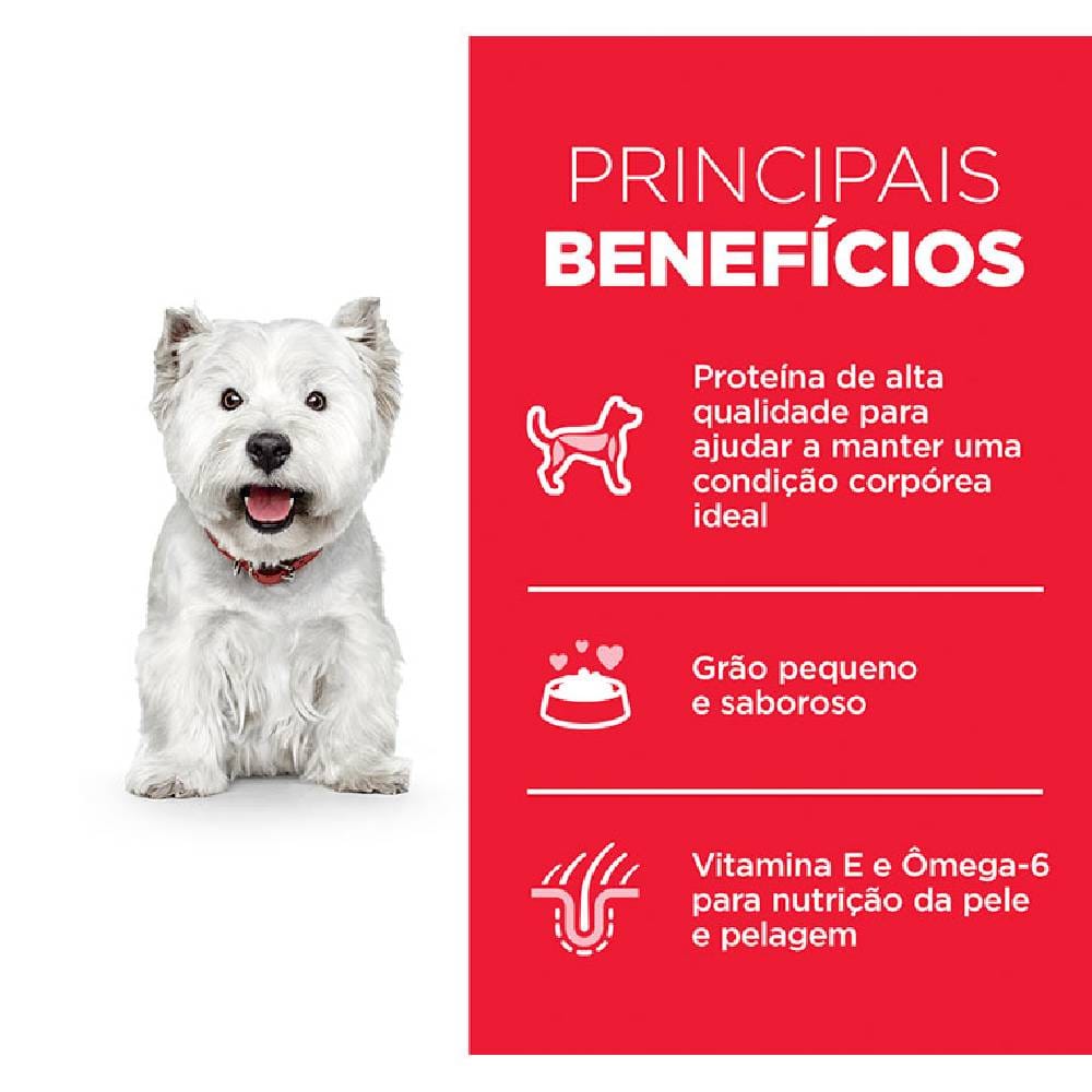 image_ad057c36-5664-4d6c-91a0-d38917d87a36