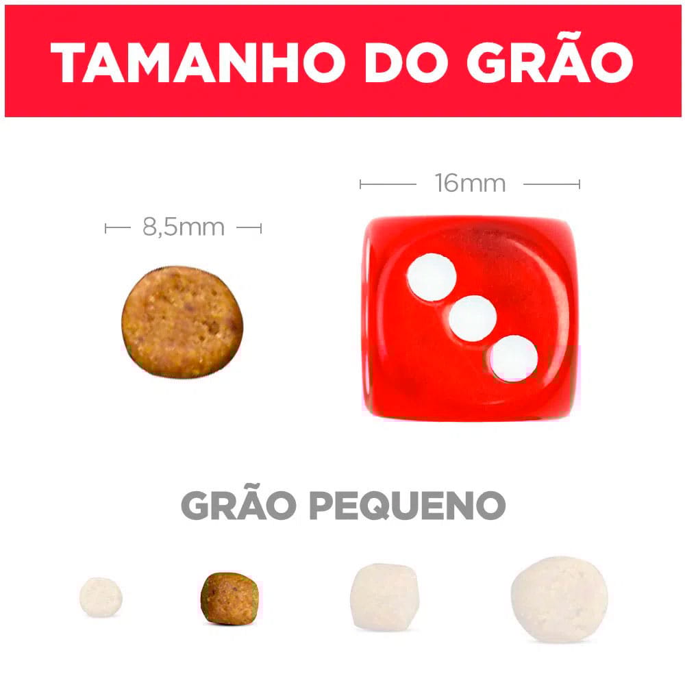 image_306ee05f-afa9-47f2-806c-a67653079b94