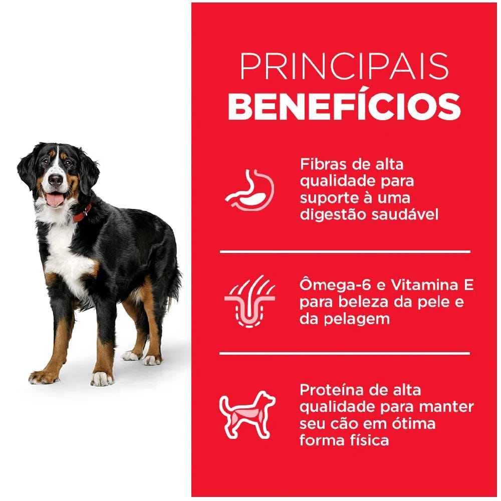 image_8b109ee0-dc3a-4788-958a-9ffbe4c24fa1