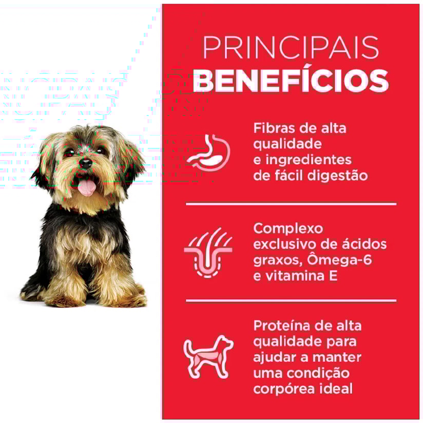 Product main image - 3b821eba-0e1a-49bf-a1ba-260efc214235