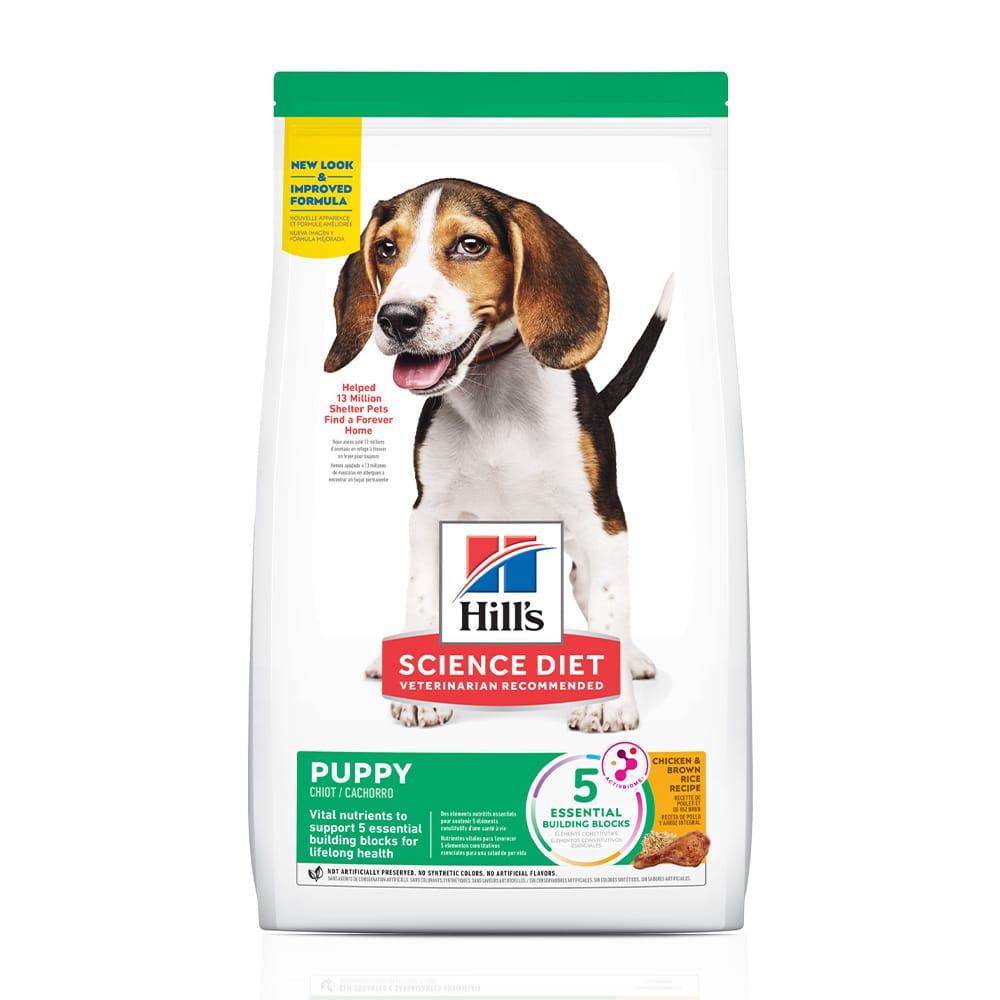 image_822e09a6-110e-4efb-8392-f6e2485e0c1a