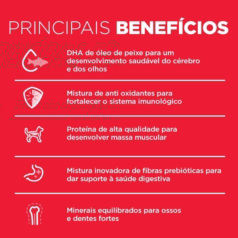 image_11588a0e-83f3-4926-9419-351772eedfbf