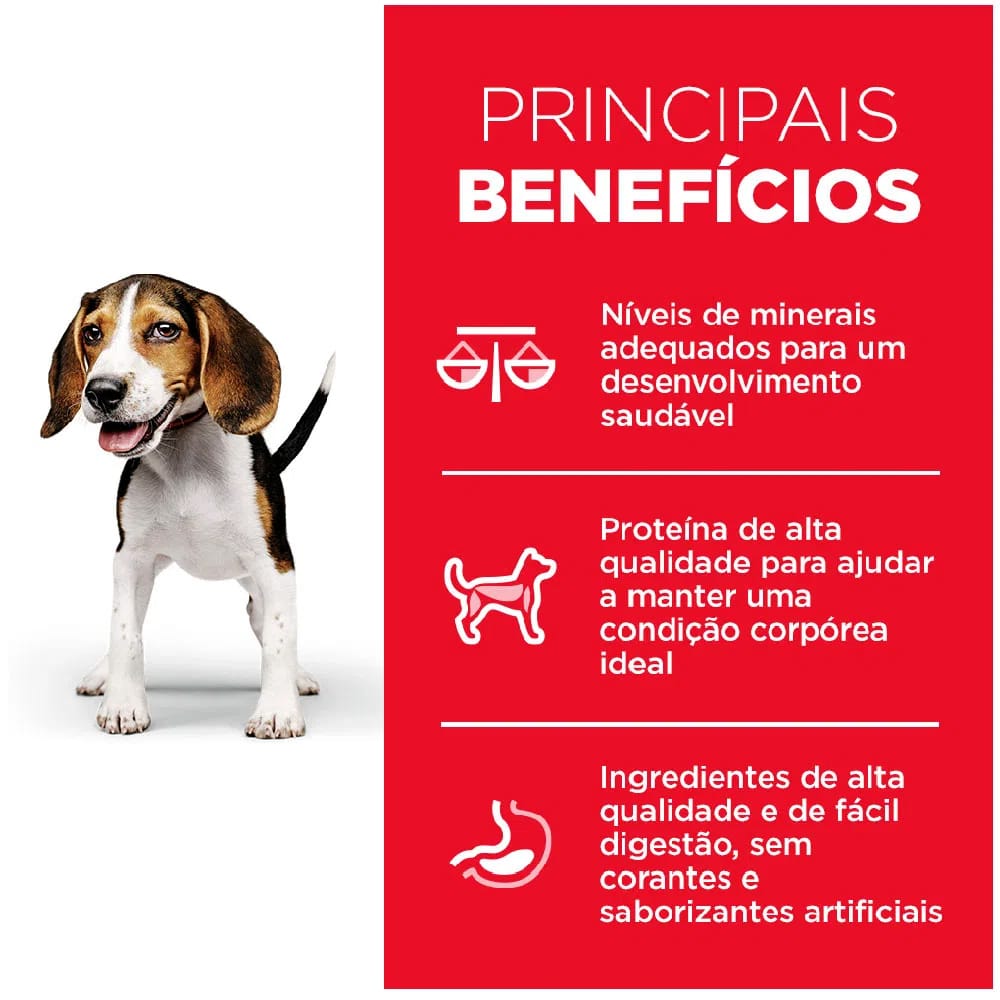 image_32d88b1c-69e2-43d4-949c-a7e5ba5c2be7