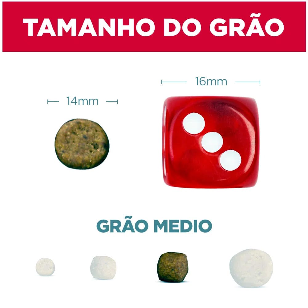 image_81356c1d-4d88-4bfa-8d7c-8b87c19fa67a