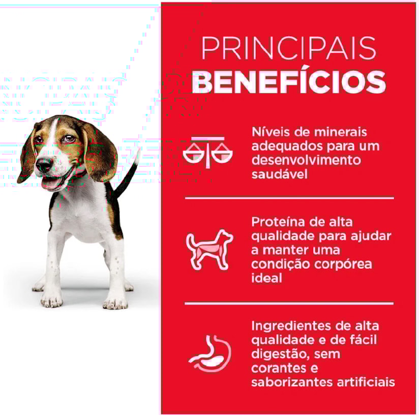 Product main image - 5d45c4c0-ffc4-4ee9-ae00-3ae324cea052