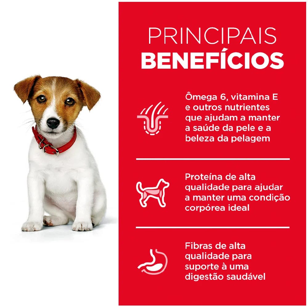 image_90d2d1fe-bbb7-4a2c-bbac-fa174feab54f