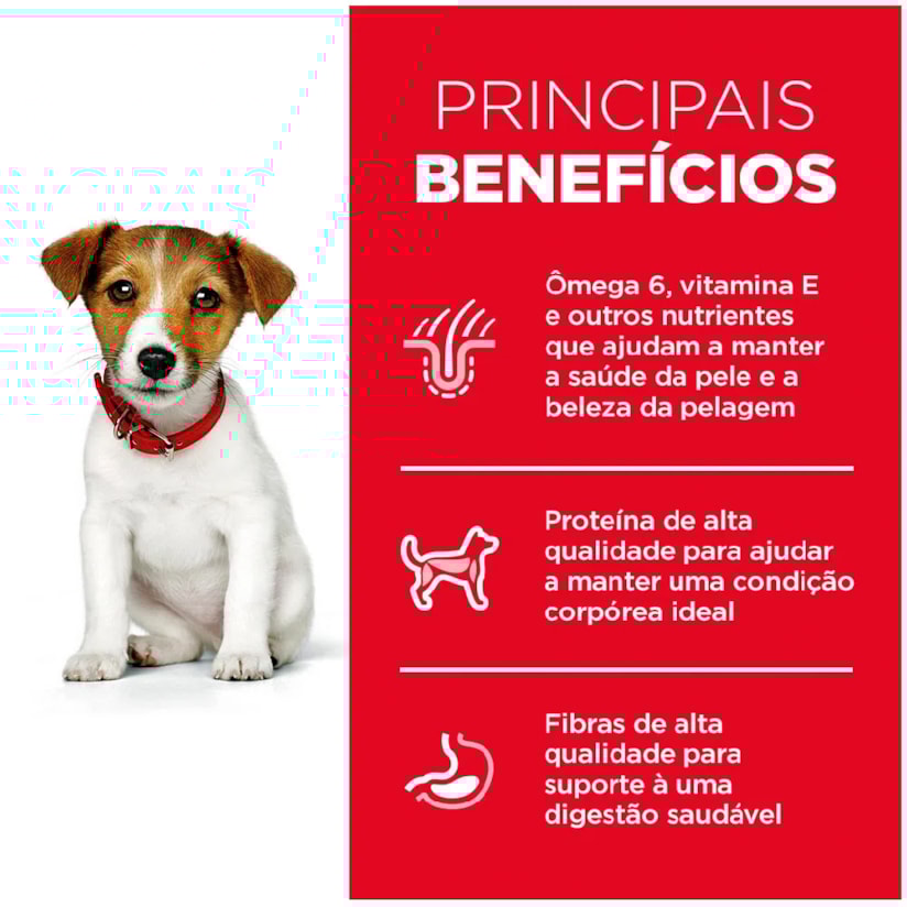 Product main image - d79862d0-8e9b-4978-9da8-fa2670669ea5