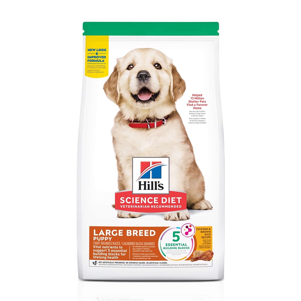 image_e6073954-ba83-4017-a897-0f7000ecedda