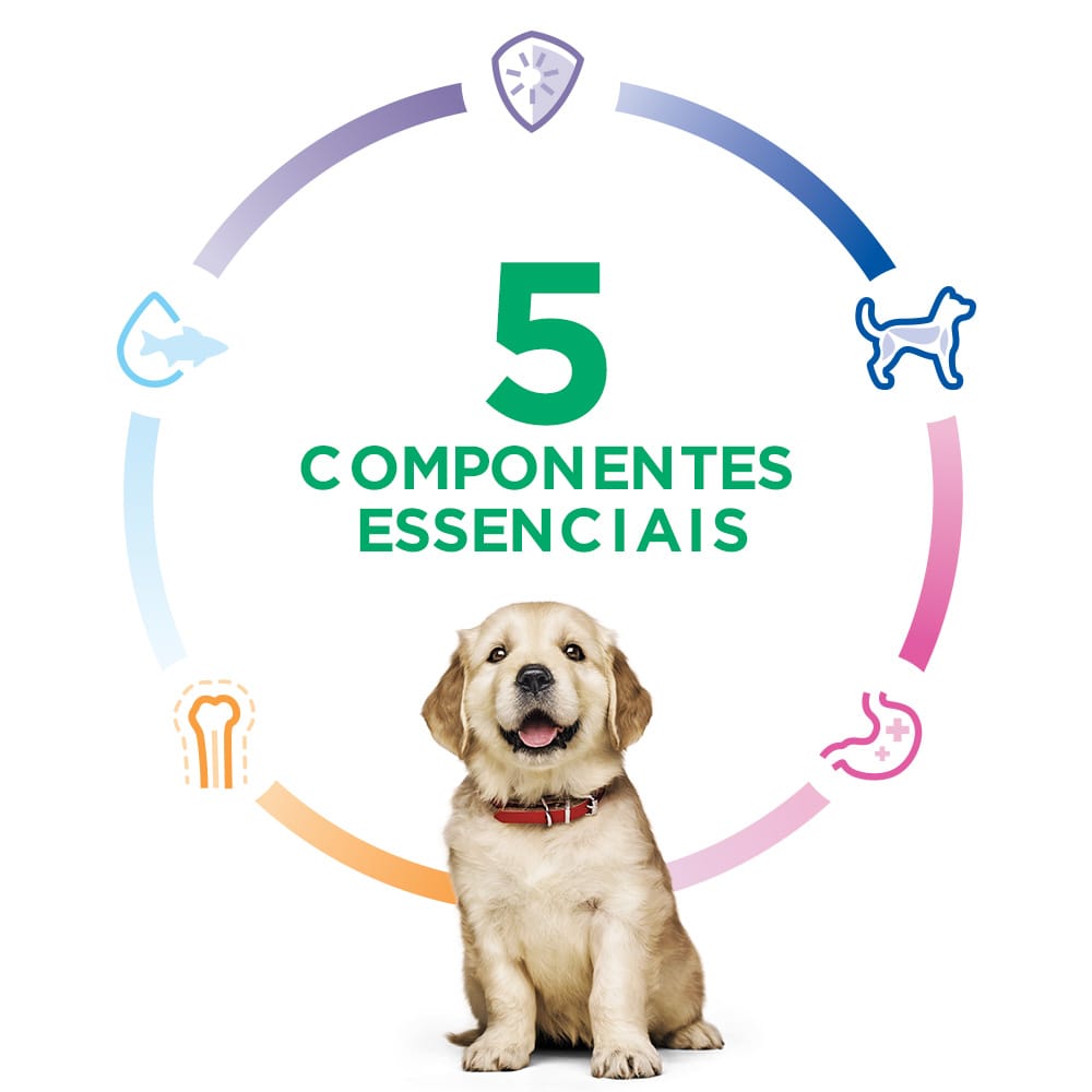 image_4a087b47-0c70-4315-be56-c348a210df91