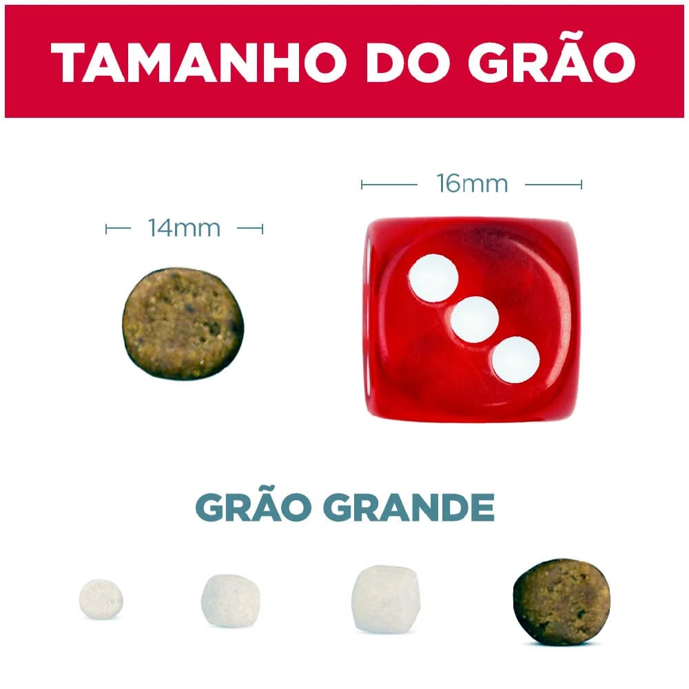 image_26c05609-faa0-4abf-8927-60270981e86b