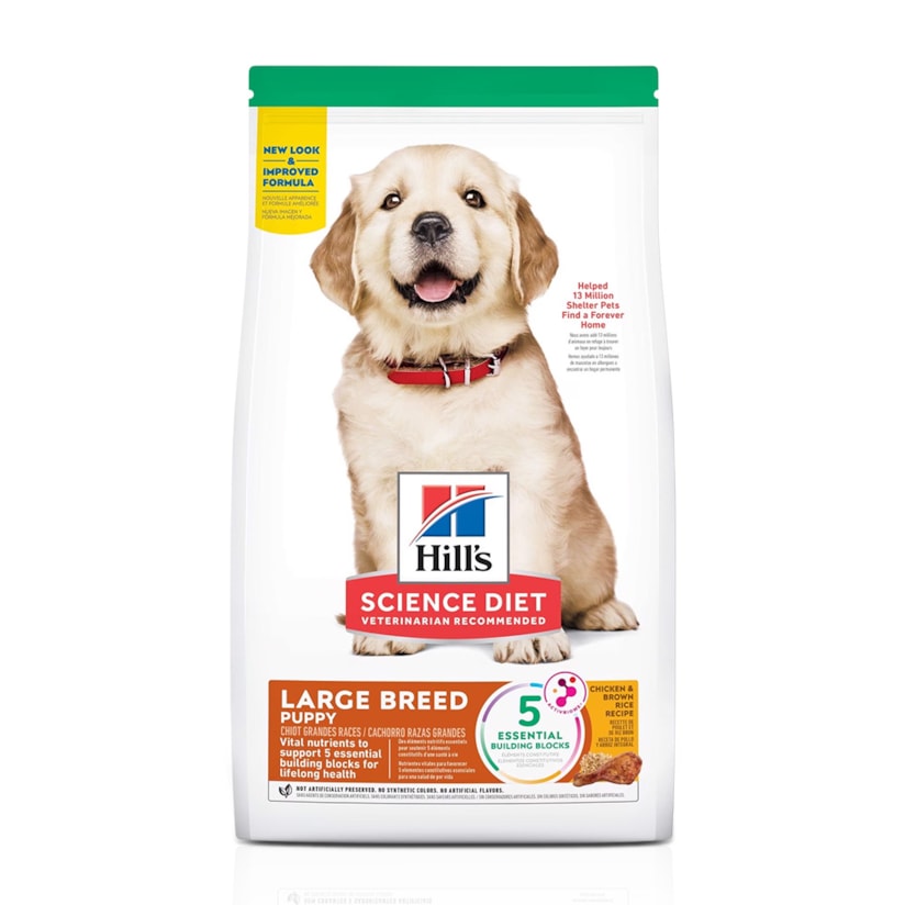 Product main image - eda55ad1-0e1d-491b-957c-721953bd7d3b