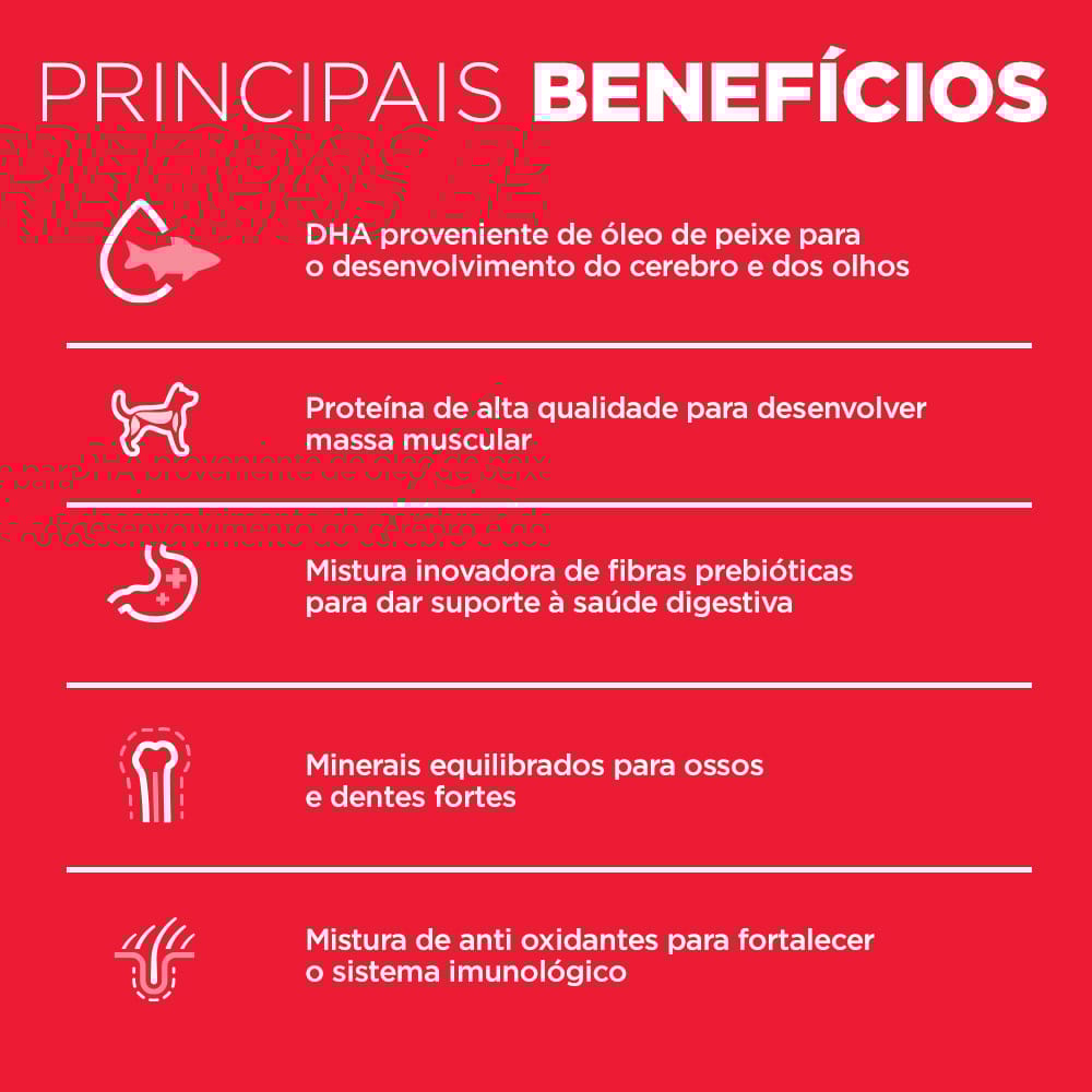 image_65e4f845-32e8-453b-b970-eddd23a3500d