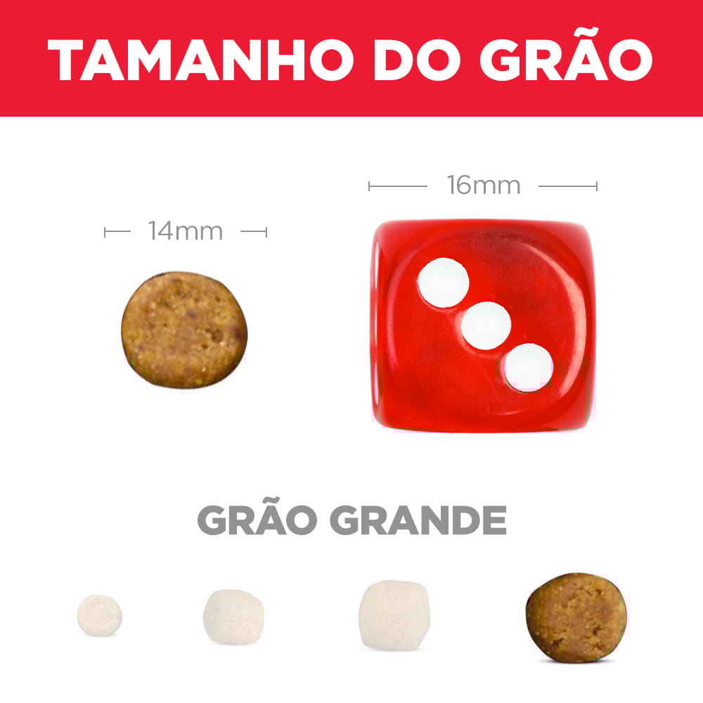 image_733c5b72-83a7-4da2-b124-4621e15eff74