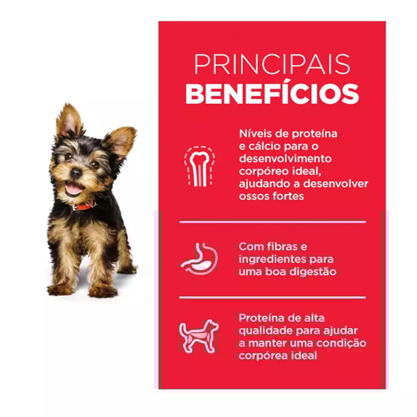 Product main image - 9375fd38-73d6-40f1-b067-91878163c9d6