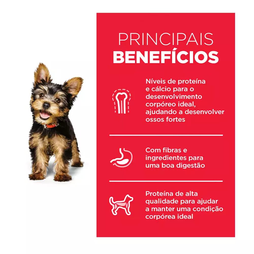 image_fca12afd-d039-4ef2-995f-0fd0486e2e59