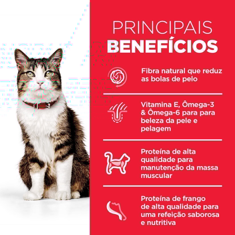 Product main image - 2c36de52-1630-4bc8-a3ab-cc66c55ba890