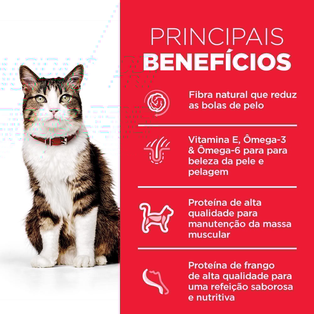 image_c2e67d40-b83a-4e27-b20d-5ac2ffd1861d