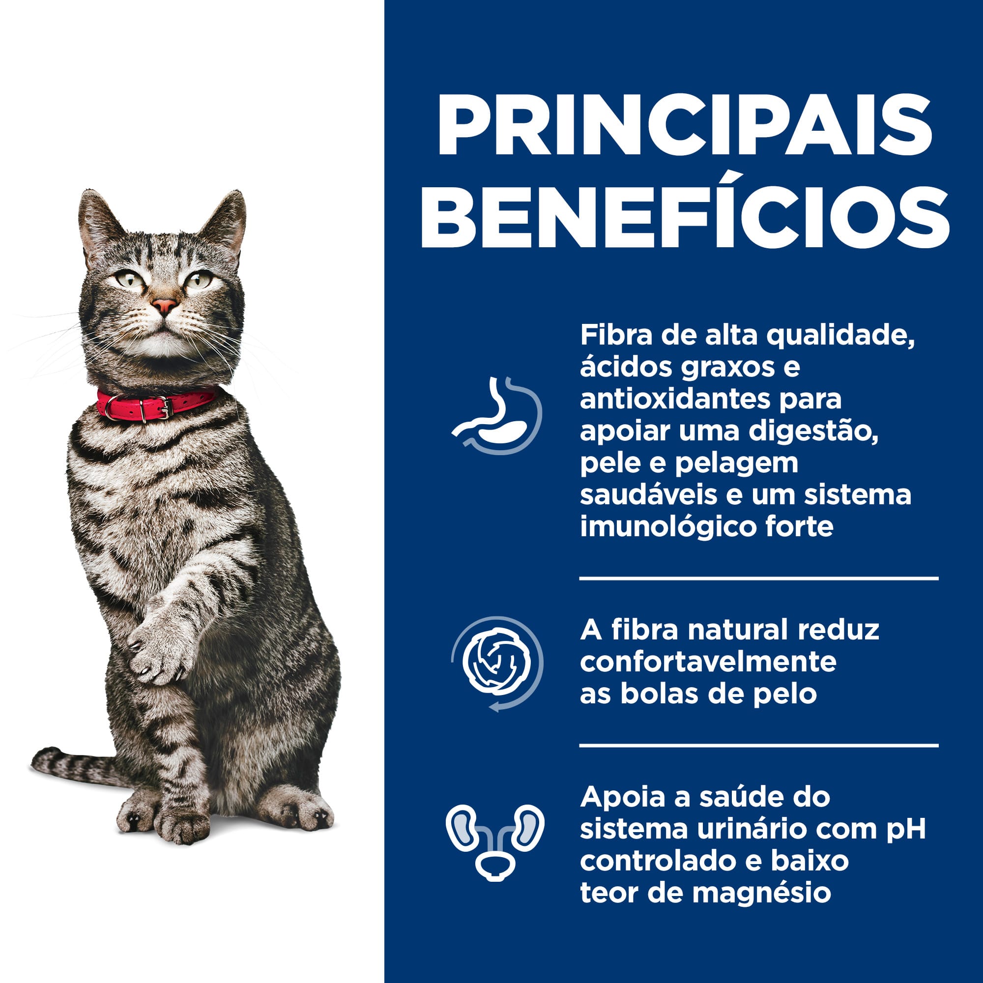 image_1e4d717b-58f5-4f98-aaf3-841d4520ec68