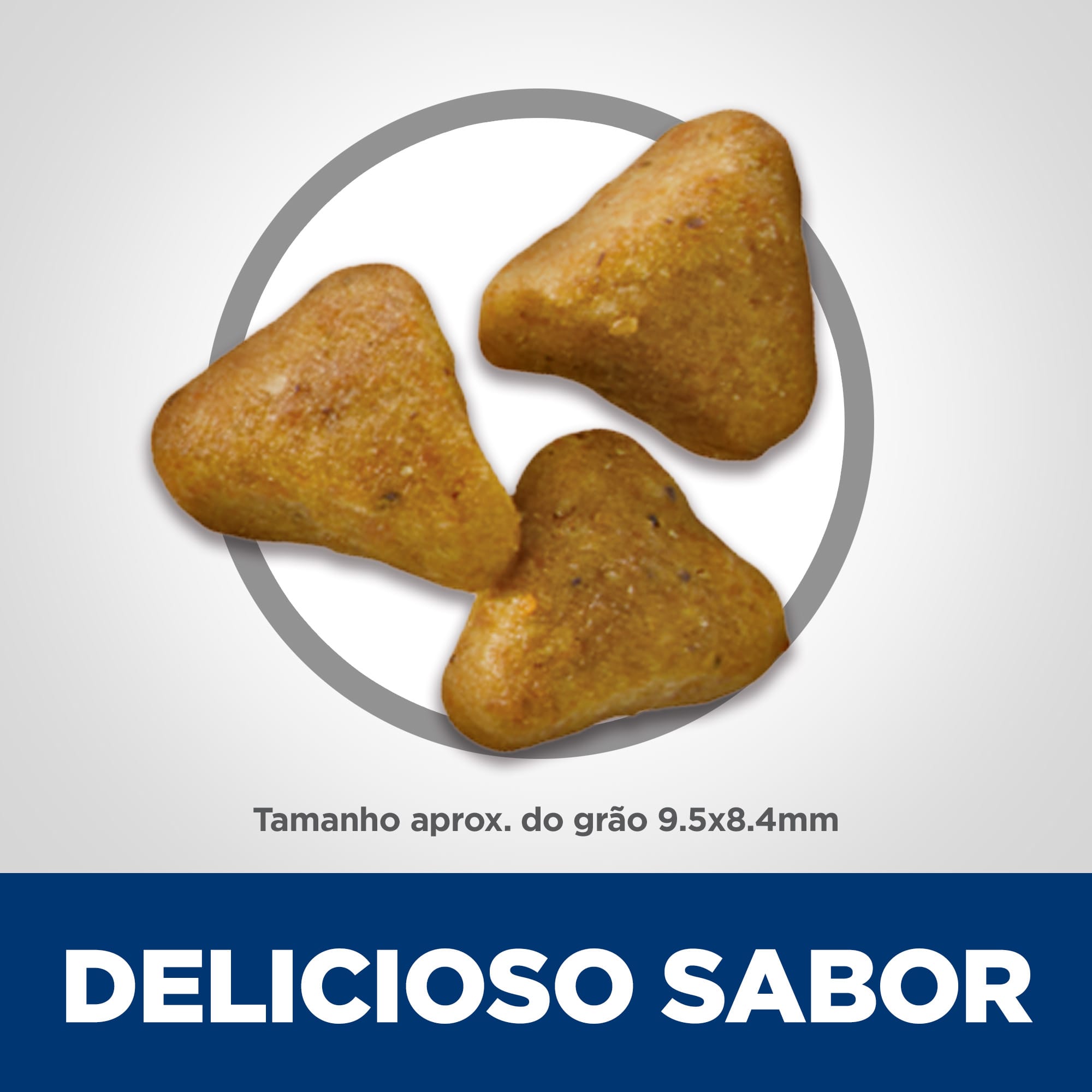 image_c1b58315-ed07-47e6-a299-d4c52ba8ff8d