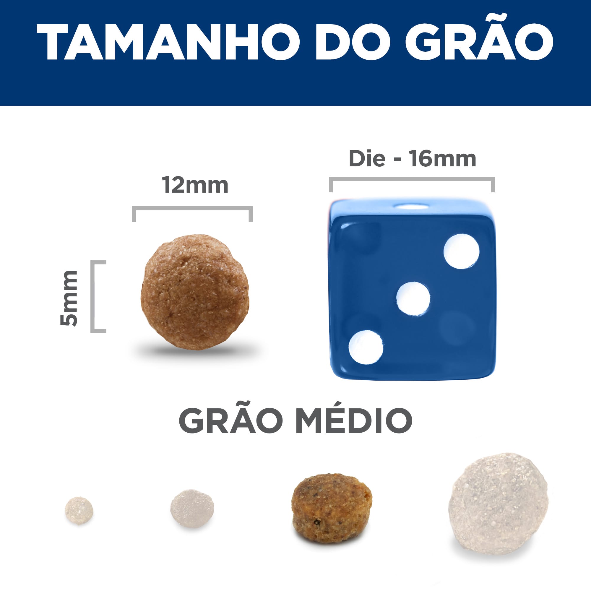 image_746d6f26-0375-4a6b-9b72-192c3a1943af