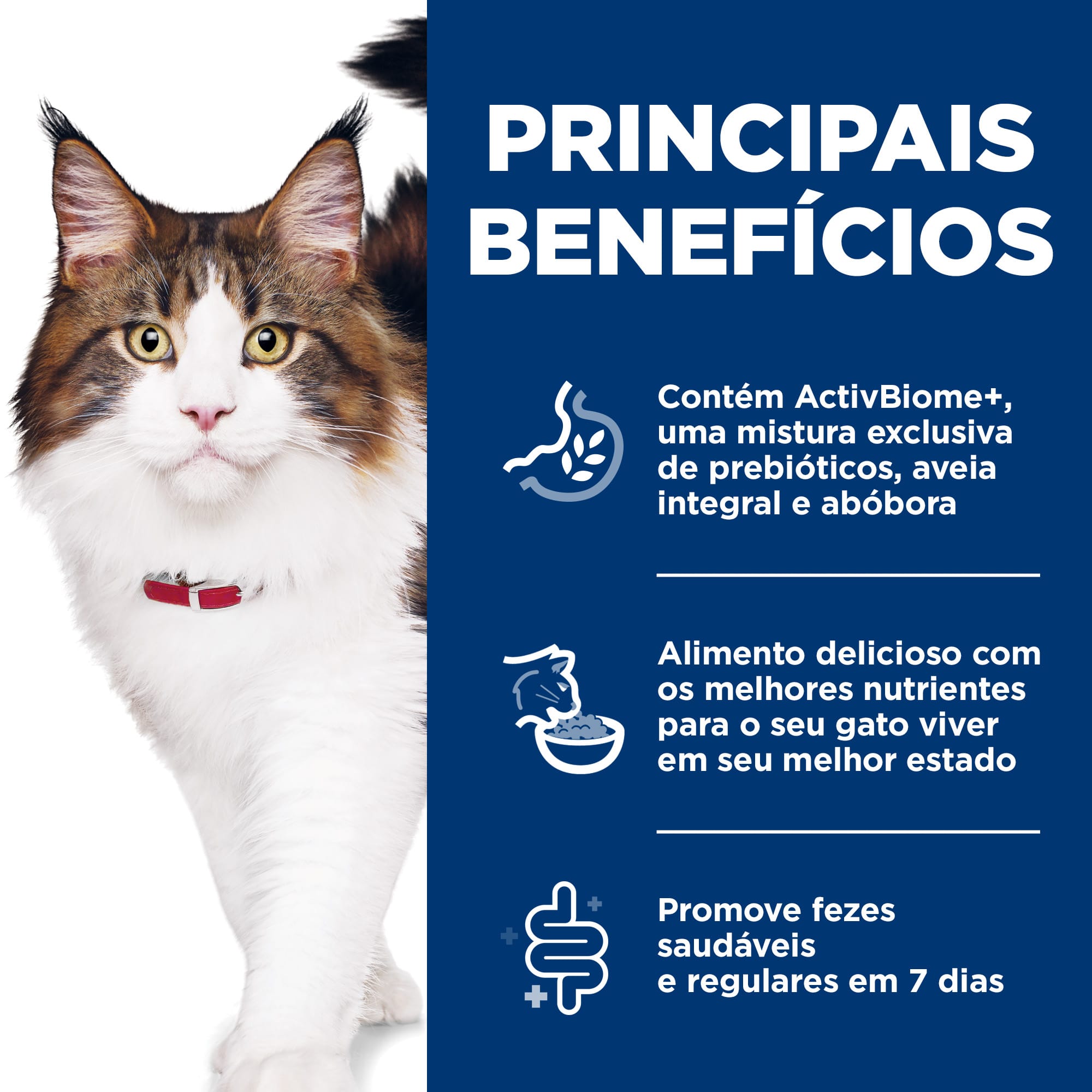 image_89970aca-2254-484a-b9e7-fe028afde6ff