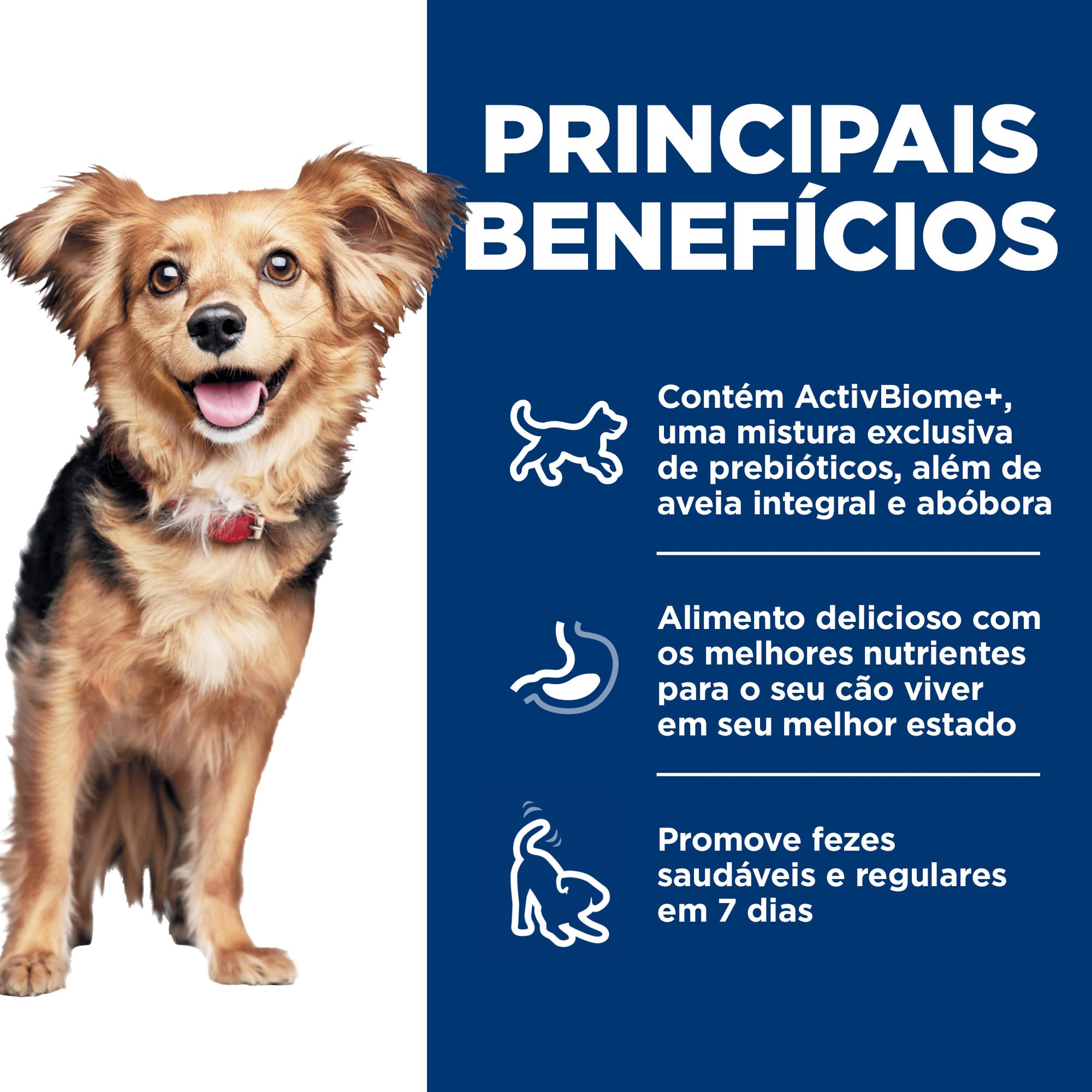 image_d88073b9-441a-4e12-84f2-1dff2ddf15b9