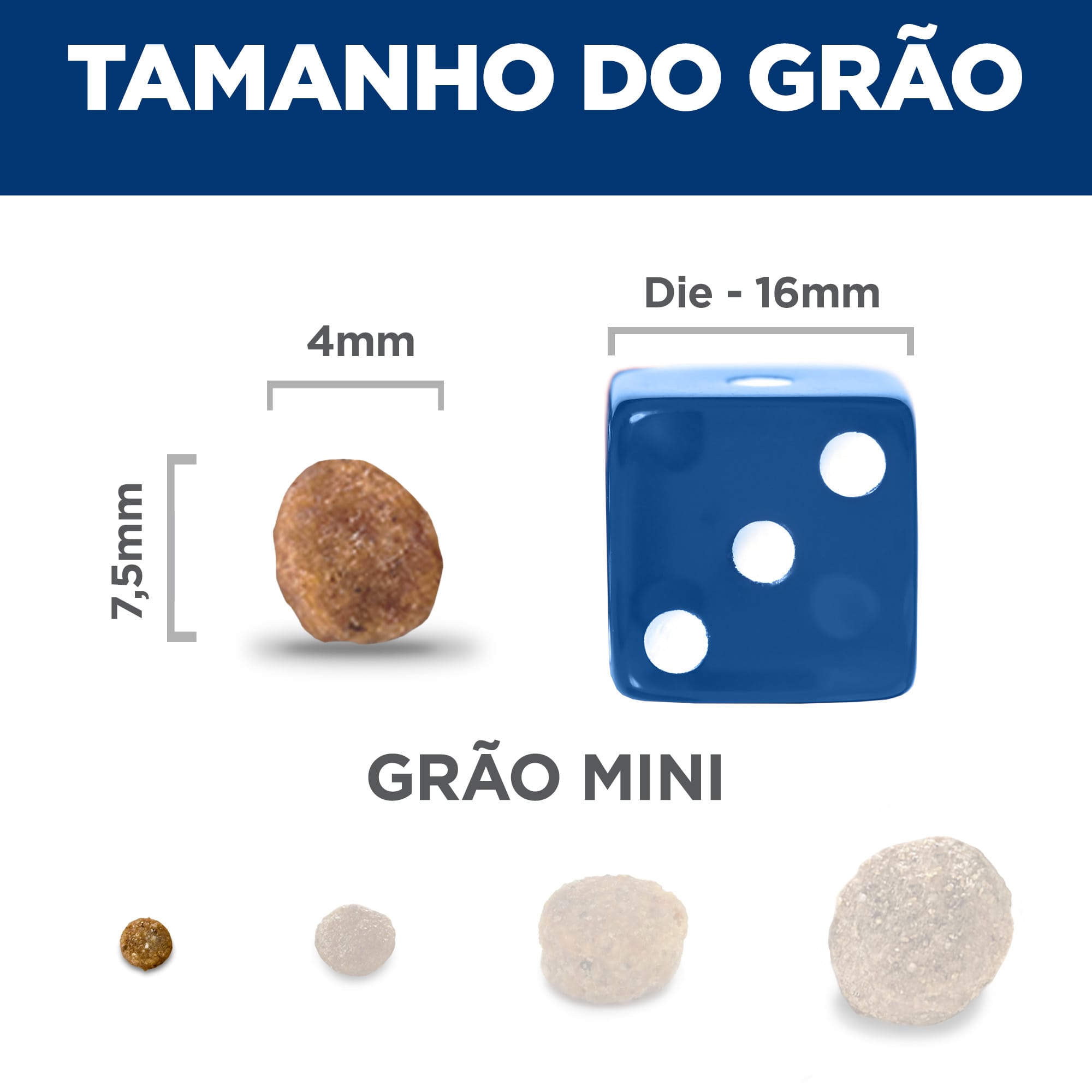 image_da693e63-7dac-4965-b4ad-40c001bb4c0e