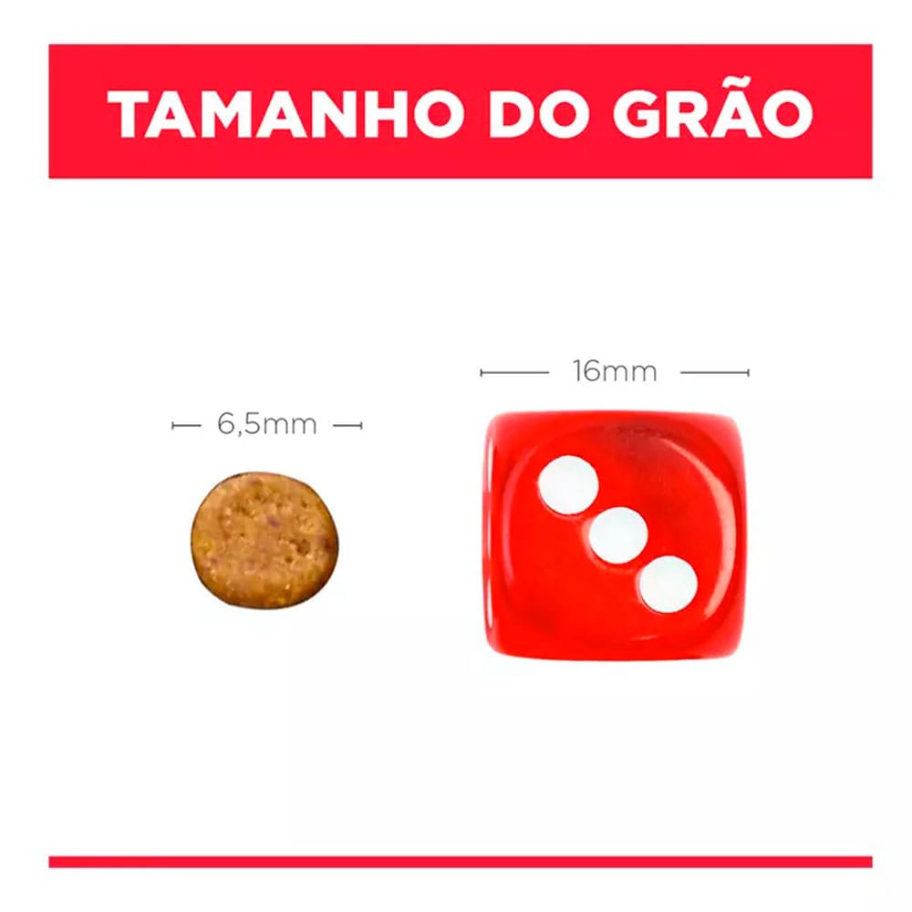 image_7e5e685b-3d11-4a37-9ea0-768b7de10381